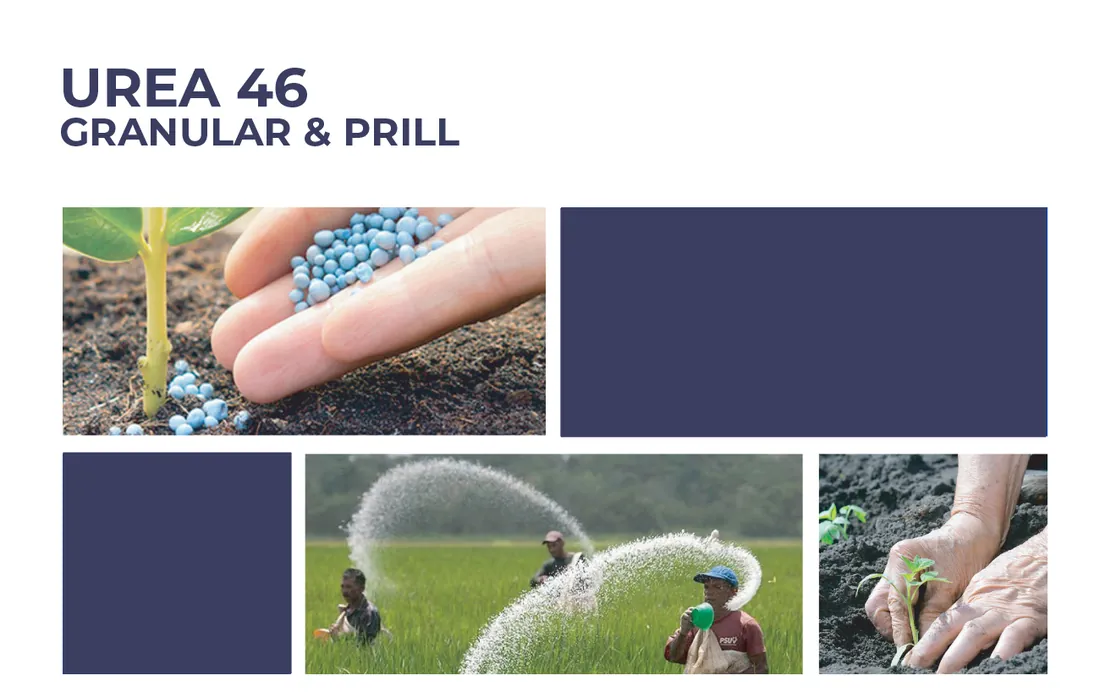 Urea 46
